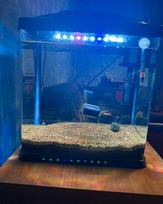 Acquario 30 litri