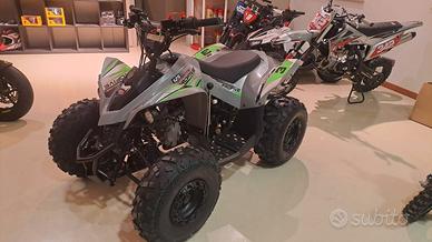 Quad 125 cc Trailmax 3 marce + R 8" [da 12 anni] 