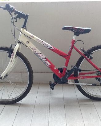 Mountain bike Frejus MTB FRJ580