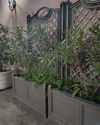 Fioriere con spalliera