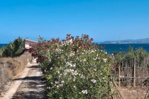 Terreno con edificio da ristrutturare in Cussorgia