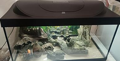 Acquario vetro 50litri 60x30x30