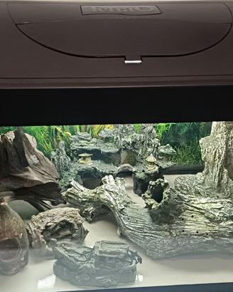 Acquario vetro 50litri 60x30x30
