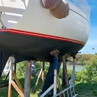 Panda 31 Nord Cantieri