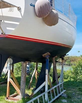 Panda 31 Nord Cantieri