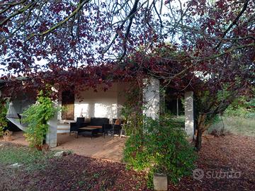 Presso le cascate di saturnia