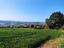 Immagine 17