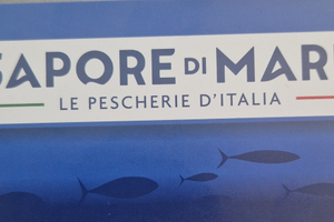 Attivita di surgelati