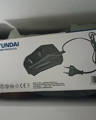 tagliabordi Hyundai 