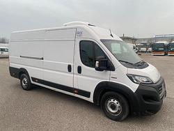 Fiat DUCATO ISOTERMICO + FRIGO