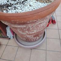 POST Fioriera da giardino/terrazzo regalasi=CHIUSO