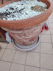 POST Fioriera da giardino/terrazzo regalasi=CHIUSO