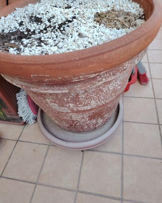 POST Fioriera da giardino/terrazzo regalasi=CHIUSO