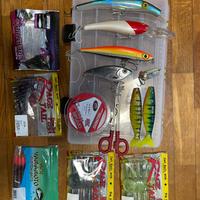 Esche pesca mare, lucci, bass