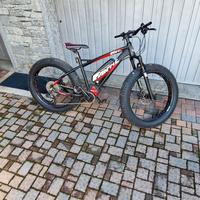 e-bike Fantic