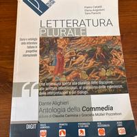 Letteratura plurale antologia della divina commedi