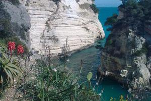Appartamento Residence I Delfini