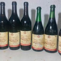 Barolo/Barbaresco cantina Casetta Paolini