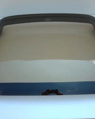 Copertura rigida per Lotus Elise, Opel Speedster