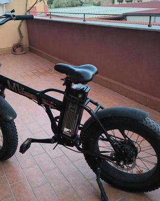 Bici elettriche