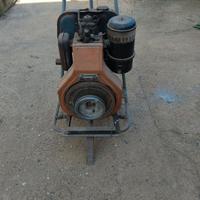 Motore Lombardini 14 Hp Diesel