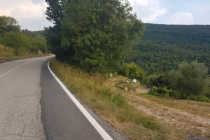 Valpolicella terreno agricolo