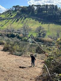 TER. AGRICOLO A MENTANA