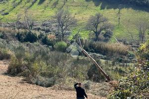 TER. AGRICOLO A MENTANA