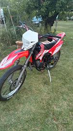 Beta RR 50 2018