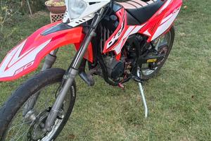 Beta RR 50 2018