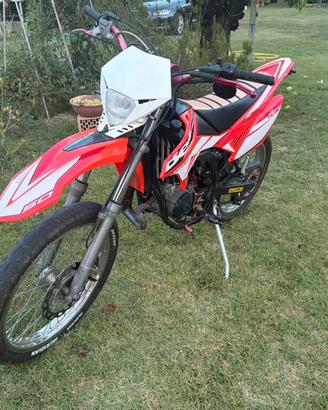 Beta RR 50 2018