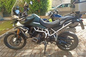 Triumph Tiger 900 Rally Pro