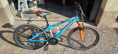 Bicicletta praticamente nuova