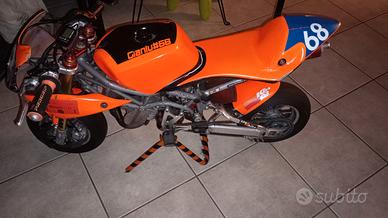 Minimoto Dm