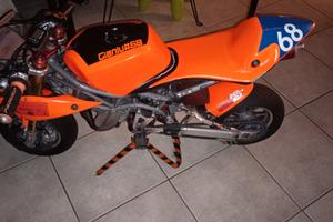 Minimoto Dm