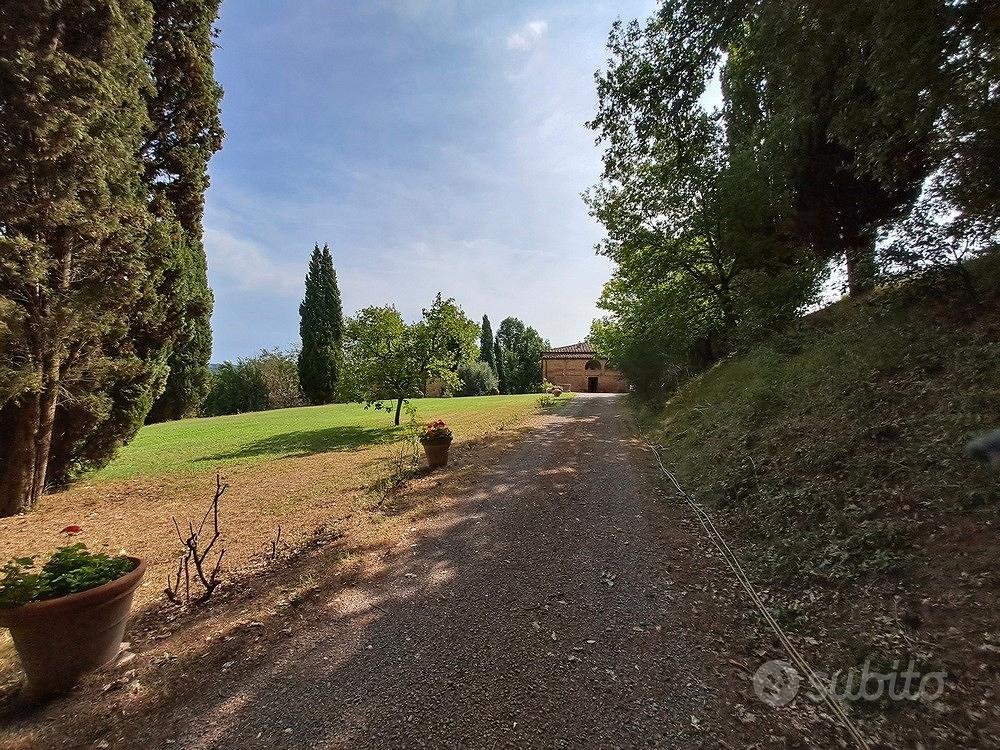 Antico Casale in collina Buonconvento Siena - Altro