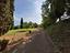 Immagine 7
