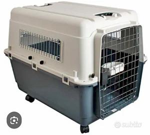 trasporto cani 