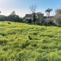 Terreno agricolo 1000 mq circa s.m. la stella