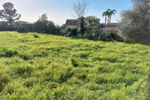 Terreno agricolo 1000 mq circa s.m. la stella