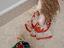 Immagine 3