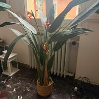 Pianta artificiale sterlizia 180cm maisons du mond