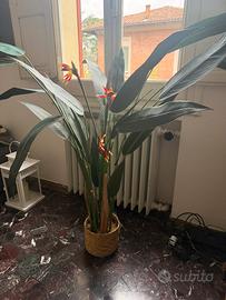 Pianta artificiale sterlizia 180cm maisons du mond