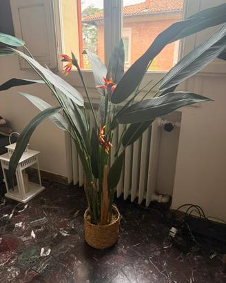 Pianta artificiale sterlizia 180cm maisons du mond