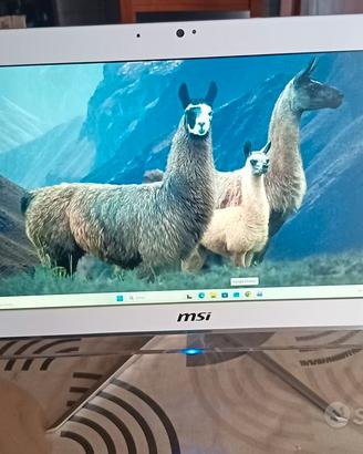 PC DESKTOP ALL IN ONE MSI INTEL 8GB SSD M.2 256GB