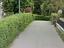 Immagine 7