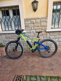 E-Bike