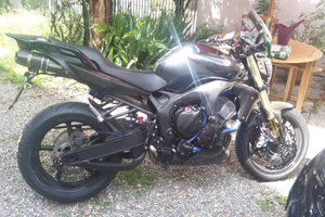 Yamaha FZ6-N