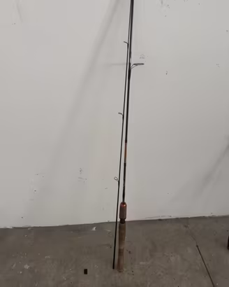 Canna da pesca