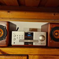 JVC EX-A1 Wood Cone